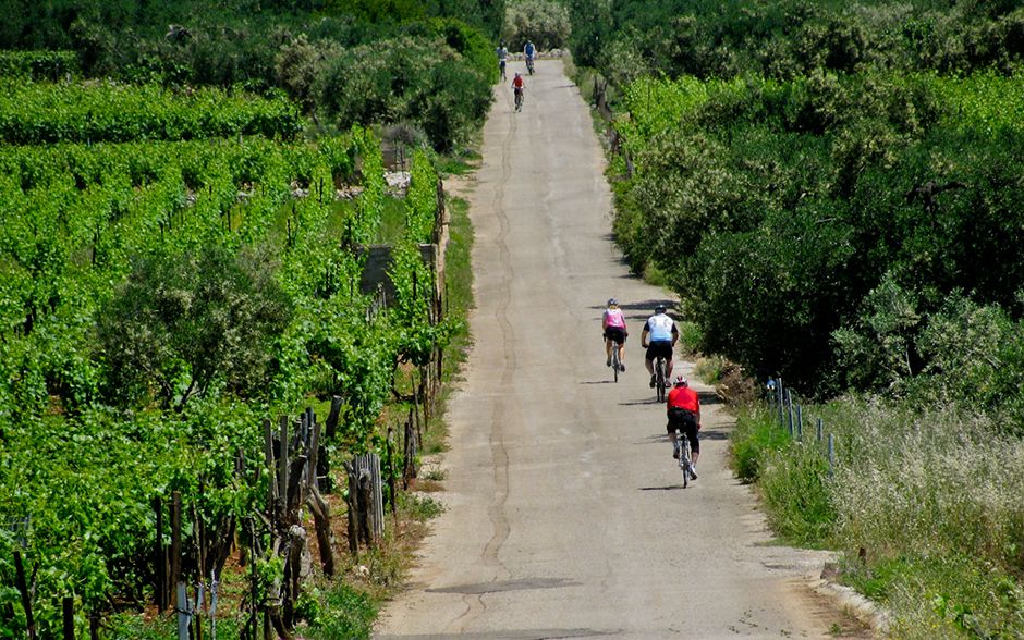 Bike Ride